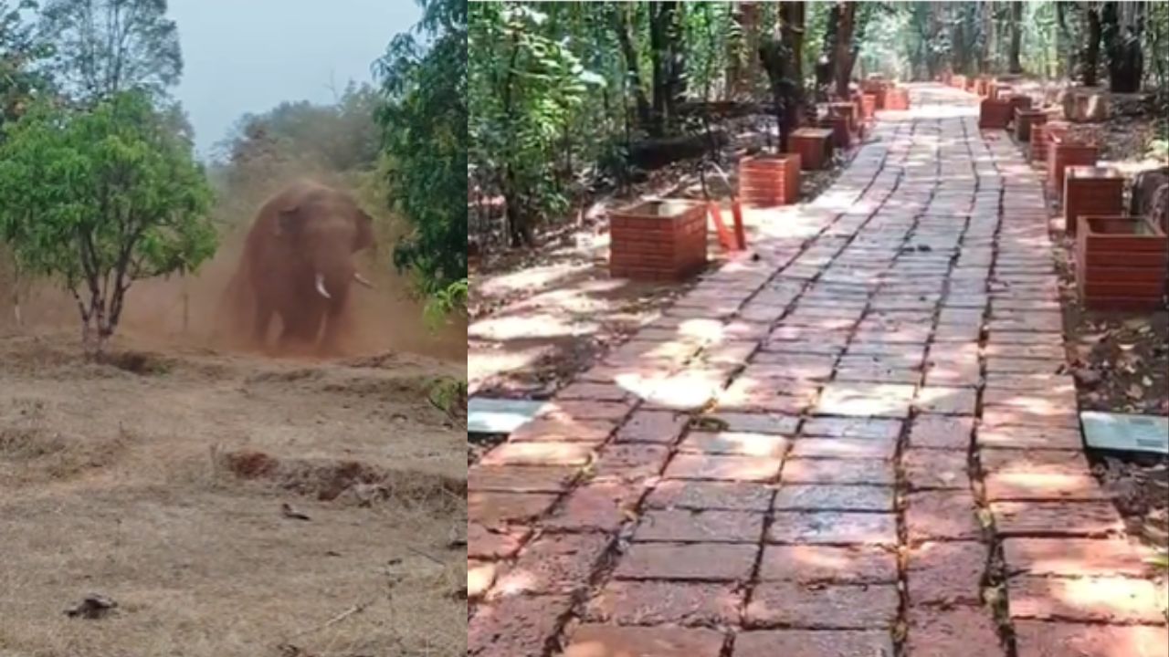 Karjat News : माथेरानमध्ये वन कायदा धाब्यावर; वन्यप्राण्यांचे रस्ते बंद करण्यांना अभय कोणाचं ?