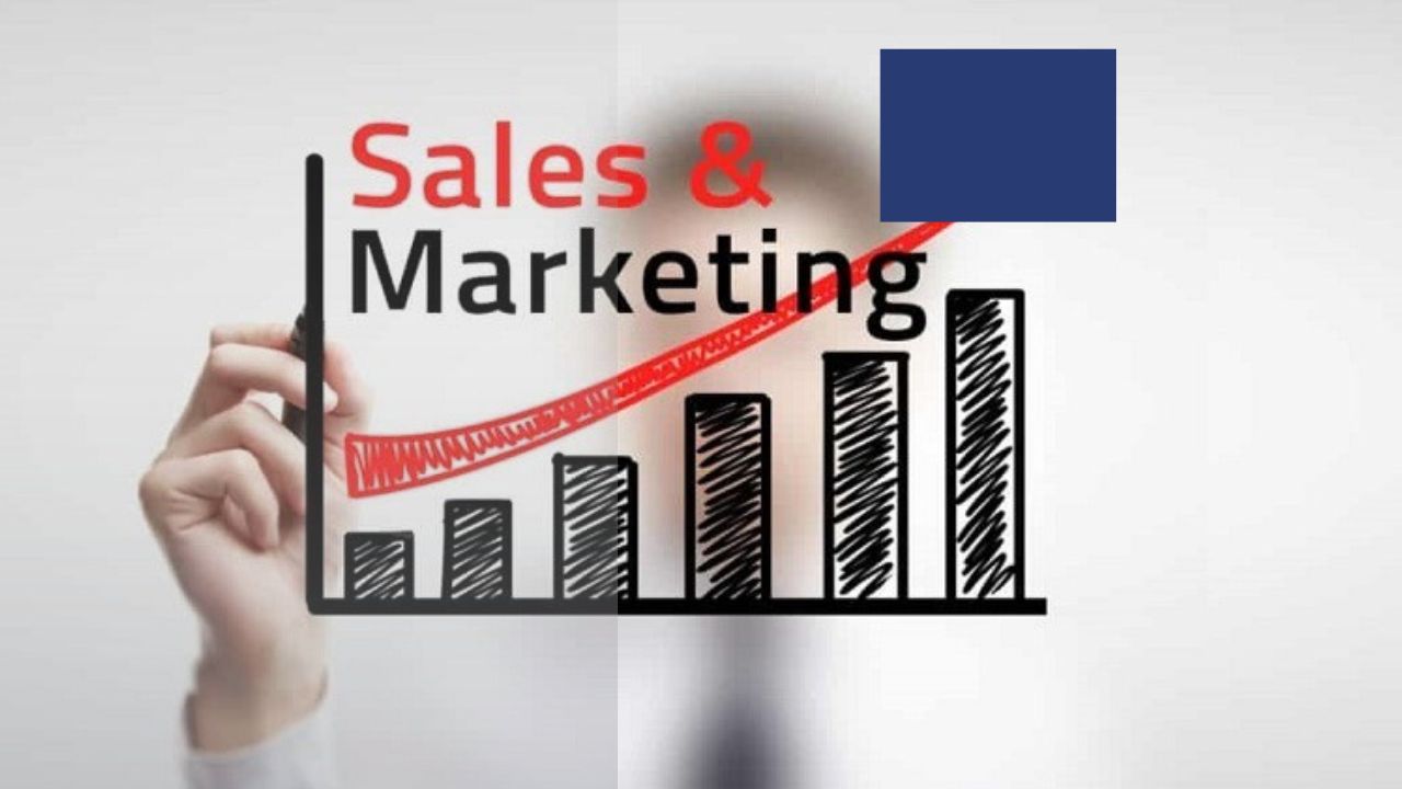 सेल्स आणि मार्केटिंग क्षेत्र! पात्रता निकष काय? आवश्यक गुण; जाणून घ्या