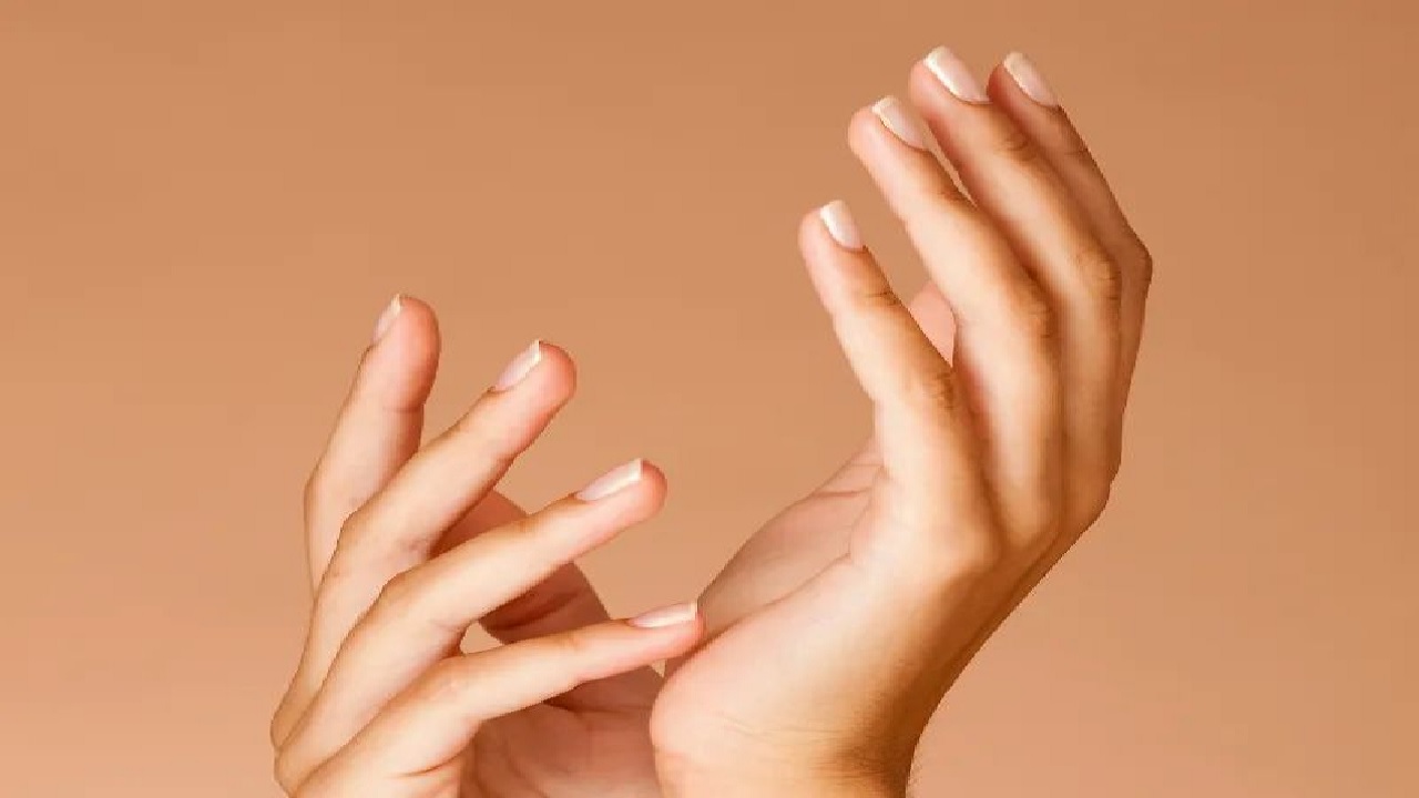 Samudrik Shastra: हातावरील बोटे आणि नखे देतात यशाचे संकेत, काय सांगते सामुद्रिशास्त्र जाणून घ्या