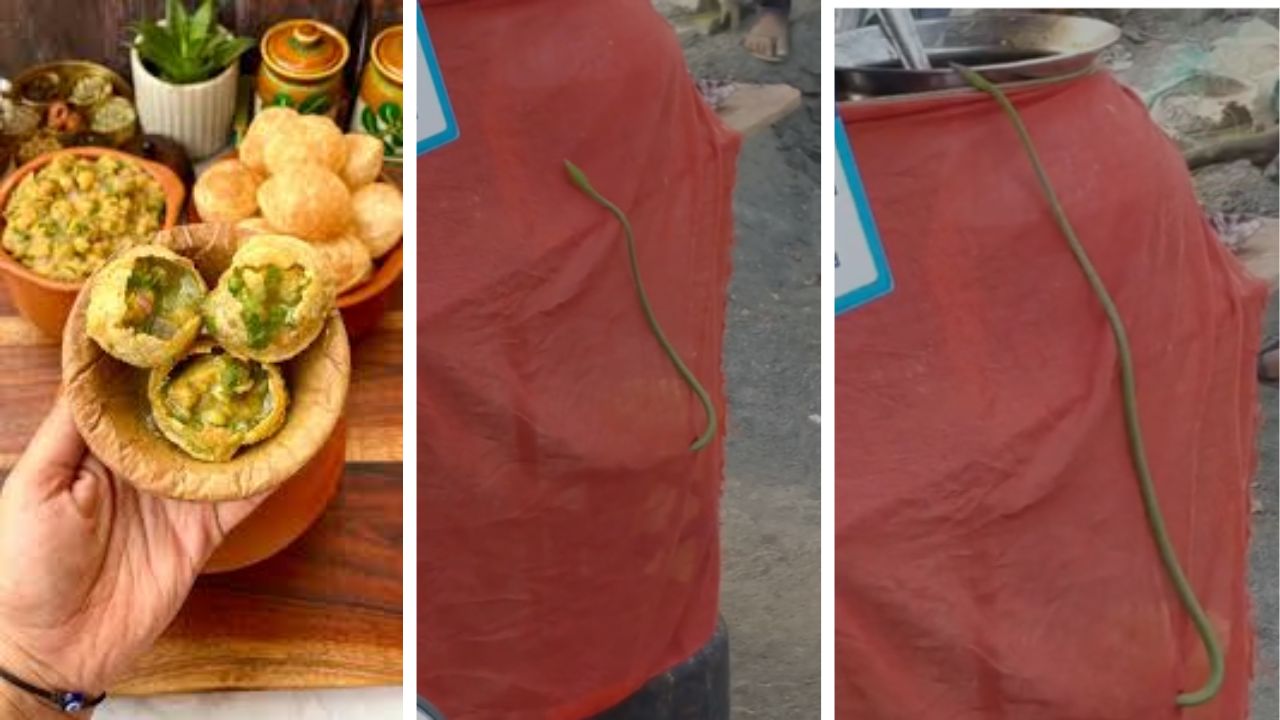 Virar News : चटपटीत पाणीपुरी विक्री ठिकाणी साप…, अन्नसुरक्षेचा प्रश्न पुन्हा ऐरणीवर; पाहा VIDEO