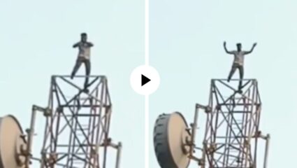 मोबाईल टॉवरवर चढून व्यक्ती घेऊ लागला सेल्फी, पाहून सर्वांचेच हात थरथर कापू लागले; Video Viral