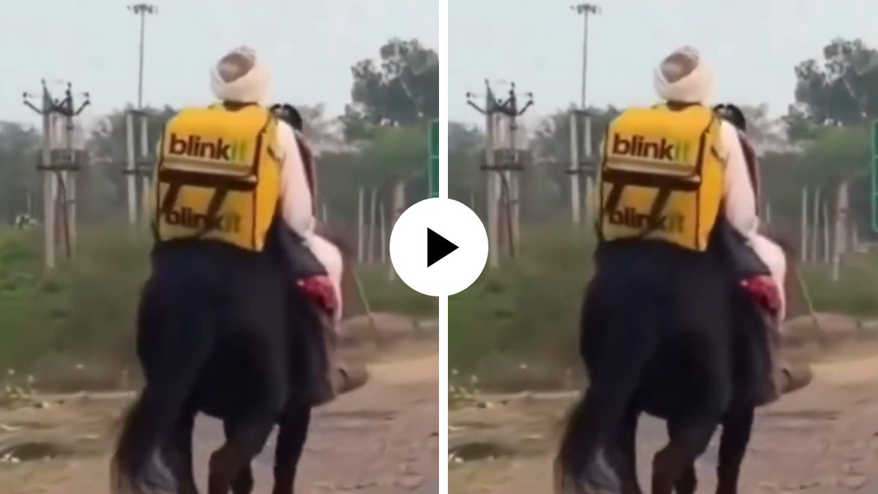 याला म्हणतात रॉयल डिलिव्हरी! पाठीवर ब्लिंकिंटची बॅग अन् घोड्यावर बसून ताऊ करू लागले डिलिव्हरी; मजेदार Video Viral