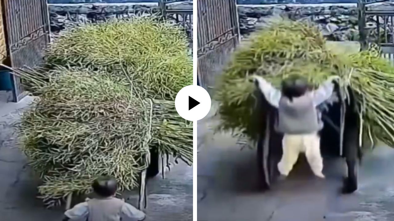 आईला मदत करायला गेला चिमुकला; पण बग्गी पकडताच हवेत खेळाला झोका… पाहूनच येईल हसू; क्युट Video Viral