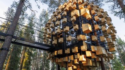 जमिनीवर नाही तर हवेत लटकत आहेत या अनोख्या हॉटेलच्या खोल्या; इतकी लग्झरी की 5 स्टारही यापुढे फेल