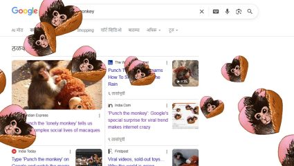 Google चं नवं सरप्राईझ, व्हायरल ‘Punch The Monkey’ सर्च करताच स्क्रीनवर दिसतो अनोखा नजारा, युजर्सने लुटली मजा