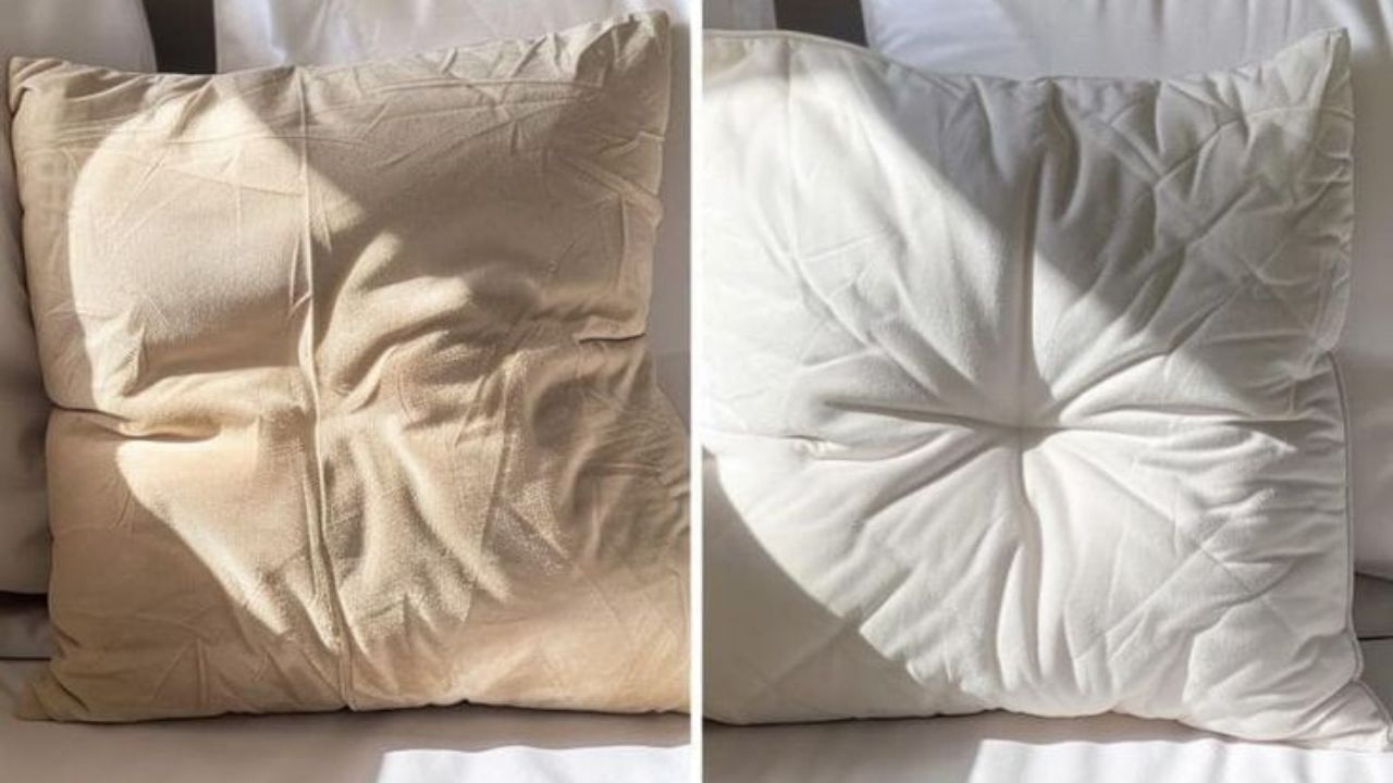 वर्षानुवर्षे वापरलेली उशी धुळीने झालीये काळी-पिवळी? पाण्याचा एक थेंबही न वापरता करा स्वछ; ही भन्नाट ट्रिक आहे कामाची