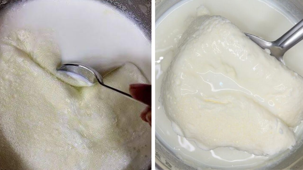 दुधावर येईल जाडसर मलाई, फक्त ही एक ट्रिक वापरा आणि उकळण्याची योग्य पद्धत जाणून घ्या