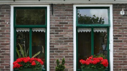 अजब-गजब! जगातील असा देश जिथे खिडक्यांना पडदेच नाहीत, रात्री घरातलं सगळं दिसतं तरीही प्रायव्हसीचा प्रश्न नाही…