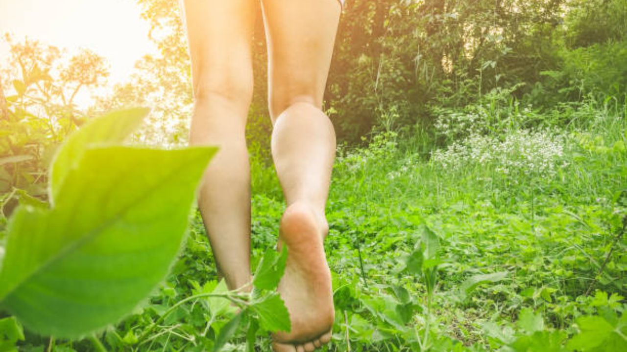 हिरवळीवर अनवाणी चालण्याचे आरोग्यदायी फायदे; मन, डोळे आणि शरीर राहील ताजेतवाने