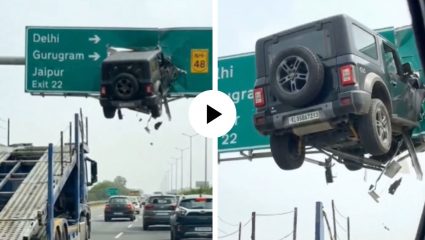 NH-48 साईन बोर्डावर आदळली थार, हवेतच लटकली अन् दृष्य पाहून युजर्स चक्रावले… Video Viral
