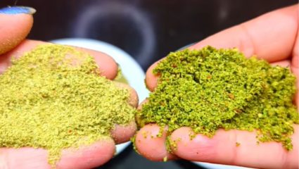 Recipe : सॅलडपासून फ्रुट चाटपर्यंत… साध्यातला साधा पदार्थही होईल चटकदार, घरी बनवा ‘पहाडी हिरवं मीठ’