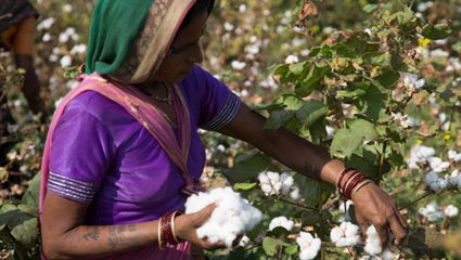 Ch. Sambhajinagar : मराठवाड्यात महिला शेतकऱ्यांचे सक्षमीकरण; शेती व्यवस्थेला मिळणार नवी दिशा