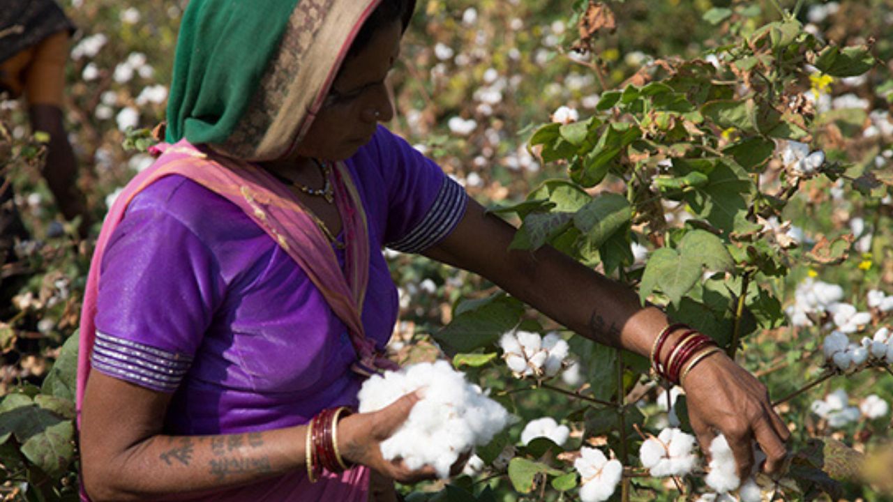 Ch. Sambhajinagar : मराठवाड्यात महिला शेतकऱ्यांचे सक्षमीकरण; शेती व्यवस्थेला मिळणार नवी दिशा