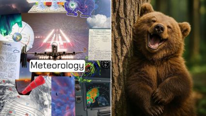 23 March Day Importance : ‘वातावरण’ बदल ही मानवाची घोडचूक; जाणून घ्या अस्वलांच्या नामशेष होण्याने जगाला काय दिला इशारा?