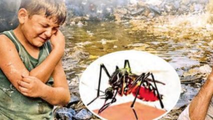 Ahilyanagar News: डासांमुळे कोपरगावकरांचे आरोग्य धोक्यात! उपाययोजनेची राष्ट्रवादीची मुख्याधिकाऱ्यांकडे मागणी