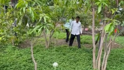 Beed News : अंबाजोगाईच्या शेतकऱ्याची अवघ्या 4 गुंठ्यात 5 लाखांची कमाई