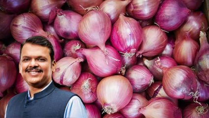 Onion Growers : कांदा उत्पादकांसाठी सरकारकडून ठोस उपाययोजना; मुख्यमंत्री फडणवीसांनी दिले ‘हे’ महत्त्वपू्र्ण निर्देश