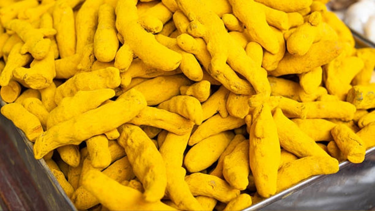 हिंगोलीच्या बाजारपेठेत हळदीचे भाव घसरले; आखाती युद्धाचे पसरले सावट, शेतकरी चिंतेत