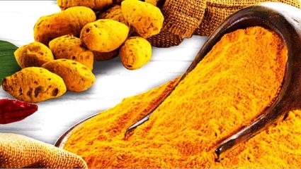 Turmeric Cultivation : इच्छाशक्ती व प्रयत्नांचा अभाव! मराठवाड्याला सोडून तेलंगणाकडे वळले ‘हळदीचे’ सोनेरी स्वप्न !
