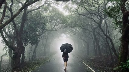 Weather Alert : सोसाट्याचा वारा, विजांचा कडकडाट; महाबळेश्वर-जावळीत अवकाळी पावसाचा धुमाकूळ