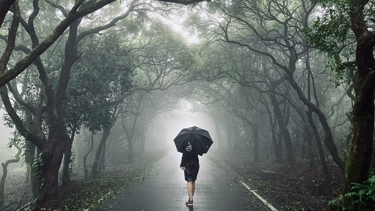 Weather Alert : सोसाट्याचा वारा, विजांचा कडकडाट; महाबळेश्वर-जावळीत अवकाळी पावसाचा धुमाकूळ