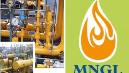 Cooking Gas Supply: घरातील गॅस पुरवठा राहणार सुरळीत; केंद्राच्या आदेशानंतर MNGL ॲक्शन मोडमध्ये