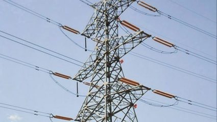 Beed Crime: बीडमध्ये तारा चोरीचा प्रयत्न जीवावर, टॉवर कोसळून 2 ठार; नंतर अपघाताचा बनाव मात्र…, काय नेमकं प्रकरण?