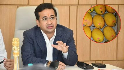 Sindhudurg News: आंबा बागायतदारांना लवकरच दिलासा मिळणार; नितेश राणे काय म्हणाले?