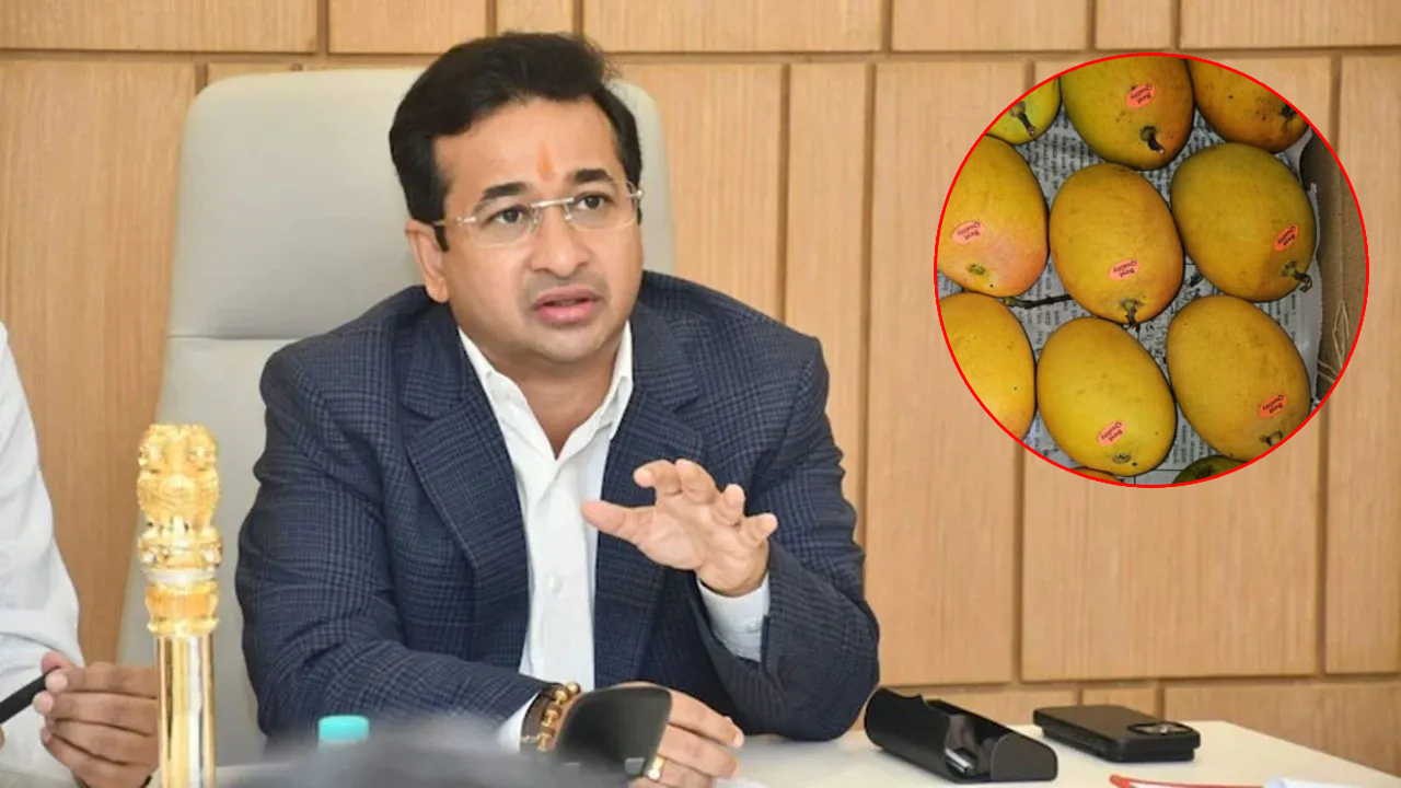 Sindhudurg News: आंबा बागायतदारांना लवकरच दिलासा मिळणार; नितेश राणे काय म्हणाले?