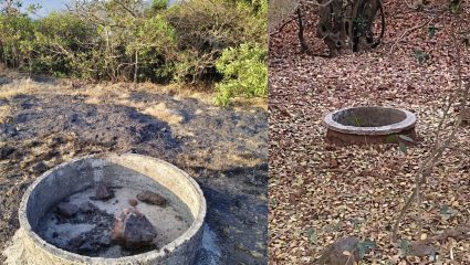 पाप लागेल तुम्हाला! कास पठार परिसरातील प्राणी तहानलेलेच; पाणवठे तयार केले पण…