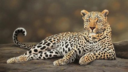 आला रे आला! रत्नागिरी जिल्ह्यातील ‘या’ भागात बिबट्याच्या हालचाली; नागरिकांमध्ये भीतीचे वातावरण