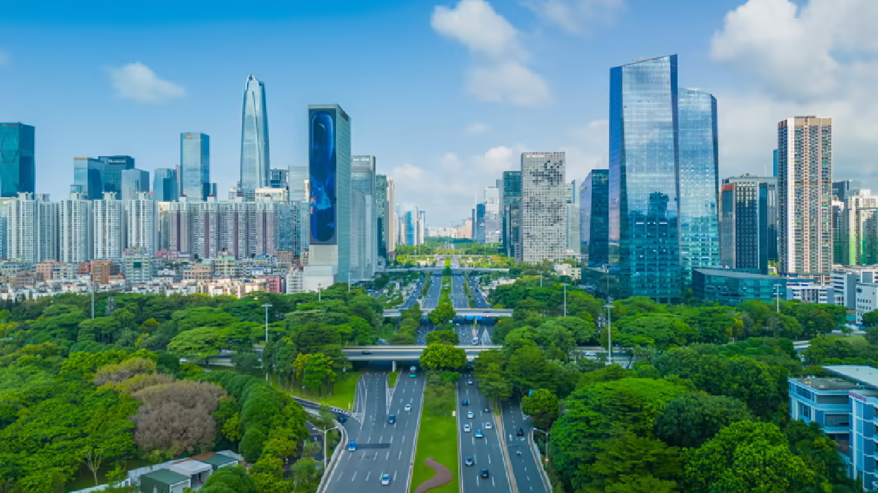 Pune शहरात 57 लाख झाडांची नोंद; तरी सावली ‘शोभेची’च! हवा शुद्ध करणाऱ्या देशी….