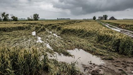 Maharashtra Rain Alert: पावसाने अक्षरक्ष: रडवले! ‘या’ शहरात लावली हजेरी; शेतकऱ्यांचे मोठे नुकसान