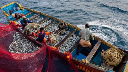 Iran Israel War चा मासेमारी व्यवसायाला मोठा फटका; इंधन दरवाढ झाल्याने…