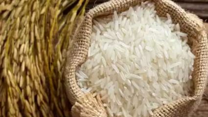 PDS Rule Change: इथेनॉल उद्योगाला दरवर्षी ९० लाख टन तांदळाचा पुरवठा; Public Distribution System India मध्ये मोठा बदल