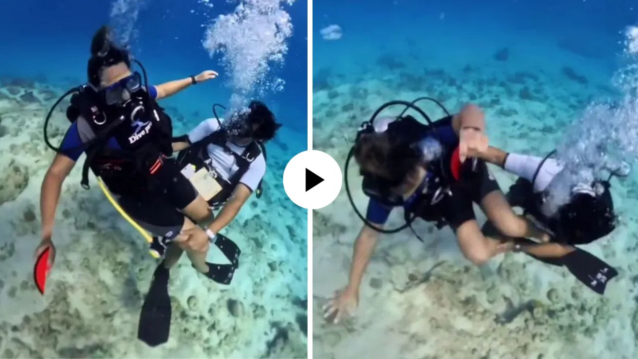 धक्कादायक! Scuba Diving करताना ट्रेनरनेच काढली महिलेची छेड; संतापजनक Video आला समोर
