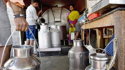 LPG Shortage Impact : अरे देवा, आता हेच बाकी होतं! फक्त 10 दिवसांचा साठा शिल्लक, LPG कमतरेमुळे दुधाचं गणित बिघडलं