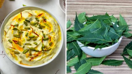 गुढीपाडव्याच्या दिवशी श्रीखंड आणि कडुलिंब का खाल्ले जाते, काय सांगते आयुर्वेदशास्त्र जाणून घ्या