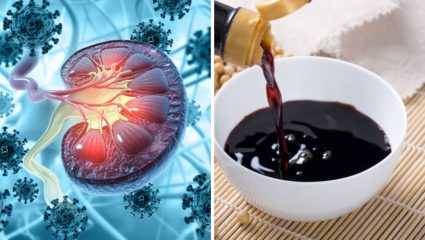 World Kidney Day: ‘या’ पदार्थांचे सेवनामुळे किडनी सडून तयार होतो कचऱ्याचा साठा, विषारी पदार्थांपासून राहाल कायमचं लांब