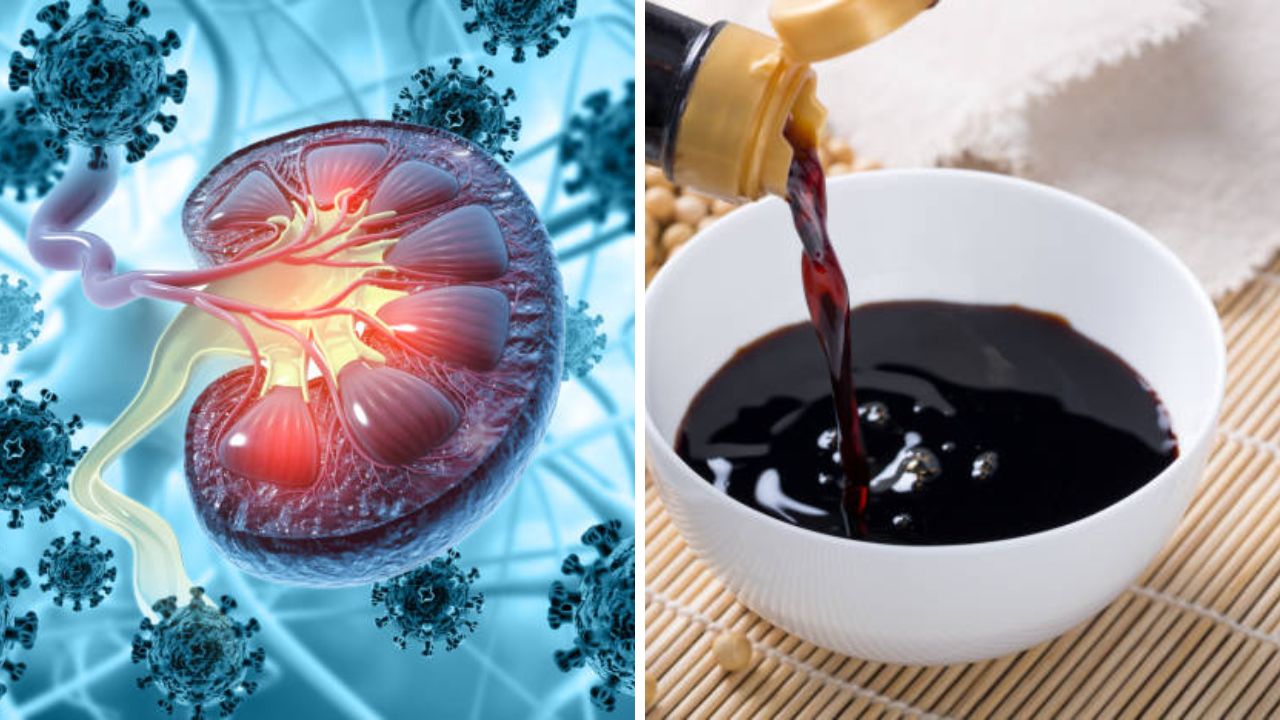 World Kidney Day: ‘या’ पदार्थांचे सेवनामुळे किडनी सडून तयार होतो कचऱ्याचा साठा, विषारी पदार्थांपासून राहाल कायमचं लांब