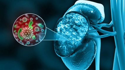 World Kidney Day: मुंबईत मूत्रपिंड दान आणि मागणीत प्रचंड तफावत! प्रत्यारोपणाच्या प्रतीक्षा यादीत होते नेहमी वाढ