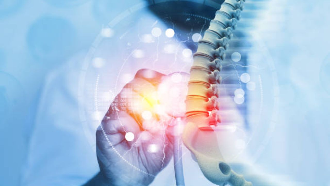 तरुण वयात हाडांमधून सतत आवाज येतो? मग आहारात करा ‘या’ कॅल्शियमयुक्त पदार्थांचा समावेश, ठिसूळ हाडे होतील मजबूत