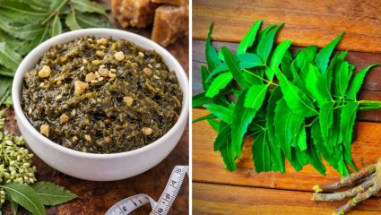 गुढीपाडव्यानिमित्त पारंपरिक पद्धतीमध्ये घरी बनवा कडुलिंबाची चटणी, रोगप्रतिकारशक्ती वाढवणारा शक्तिशाली पदार्थ