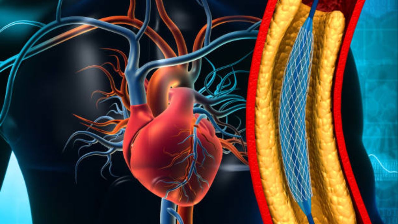उन्हाळ्यात शरीरसंबंधित दिसून येणाऱ्या ‘या’ लक्षणांकडे अजिबात करू नका दुर्लक्ष, उद्भवू शकतो हार्ट अटॅकचा धोका