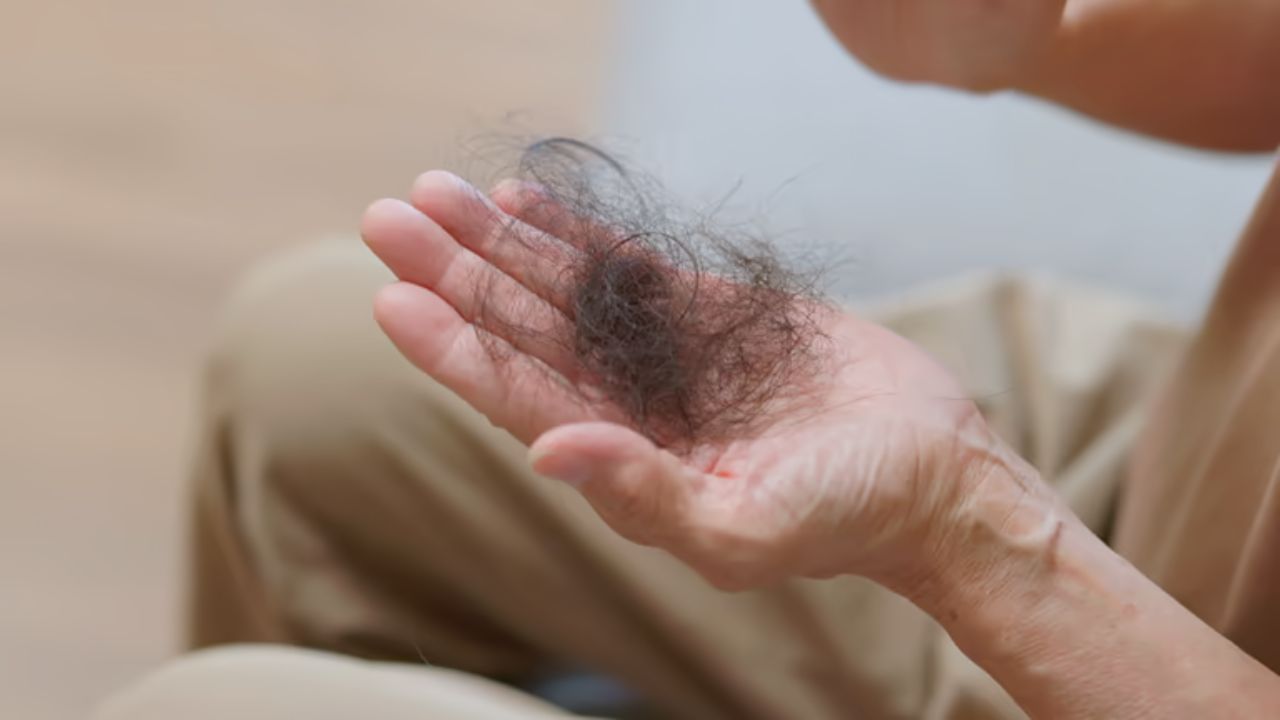 केसगळती होईल कायमची बंद! जेवणानंतर नियमित खा ‘या’ बियांपासून बनवलेला चमचाभर मुखवास, महिनाभरात होईल केसांची वाढ