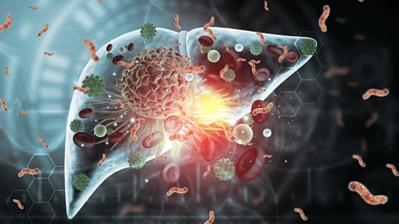 रक्तातील कावीळ कशामुळे होते? शरीरात दिसणाऱ्या ‘या’ लक्षणांकडे अजिबात करू नका दुर्लक्ष, अन्यथा कोणत्याही क्षणी होईल मृत्यू