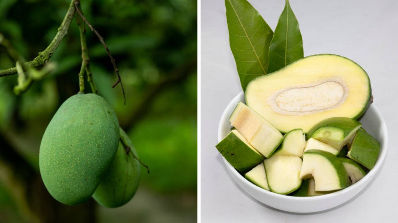 आंबटगोड चवीची कच्ची कैरी खाल्ल्यास शरीराला होतील भरमसाट फायदे, जुनाट आजारांपासून मिळेल कायमची सुटका
