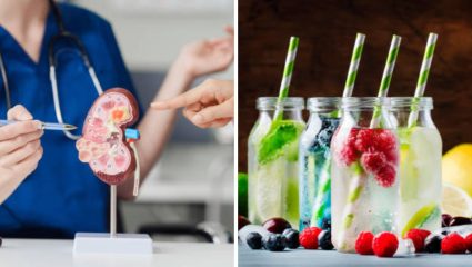World Kidney Day: रक्तातील विषारी घटक बाहेर काढून टाकण्यासाठी नियमित प्या ‘हे’ पेय, किडनी राहील आतून स्वच्छ