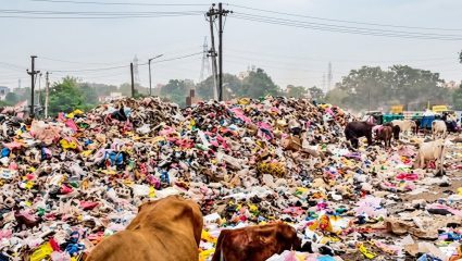 Chhatrapati Sambhajinagar: कचऱ्याच्या ‘बायोमायनिंग’मध्ये ६७ कोटींची ‘मलई’ साफ? पुन्हा ५८ कोटींच्या नव्या निविदेचा ‘डाव’ उघड