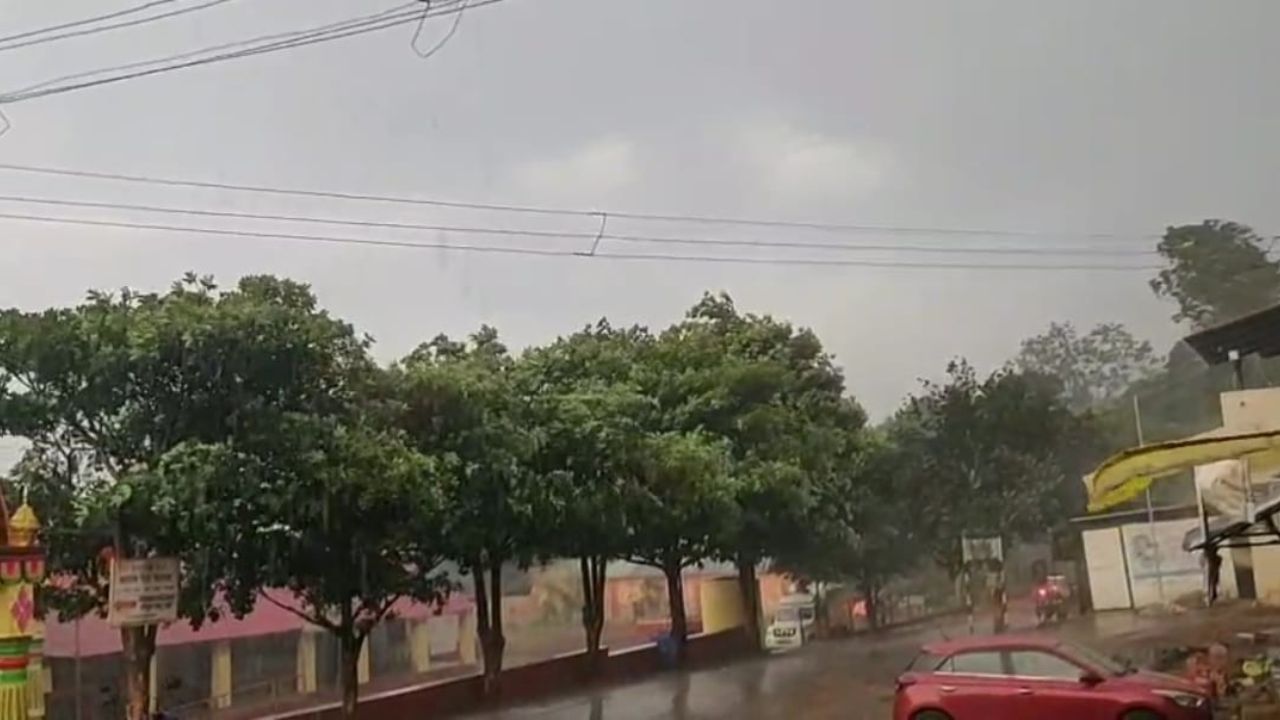 Wai Unseasonal Rain: शेतकऱ्यांच्या हाता-तोंडाशी आलेला घास हिरावला! अवकाळी पावसाने वाईतील पिकांचे मोठे नुकसान